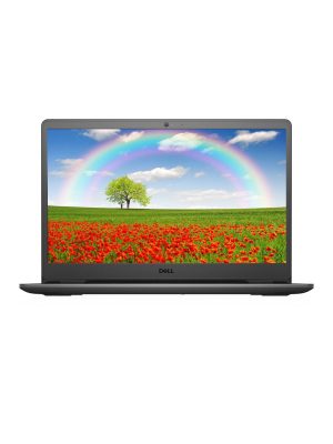 Dell Inspiron 3501 Business Laptop, Intel Core i3-11th Generation CPU, 8GB RAM, 1TB HDD , 15 inch Display, Windows 10 Pro